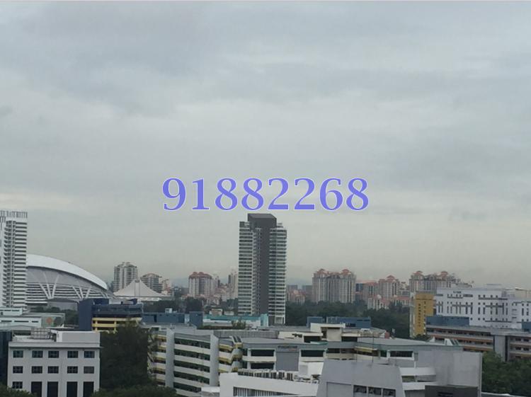 Eight Riversuites (D12), Condominium #109567732